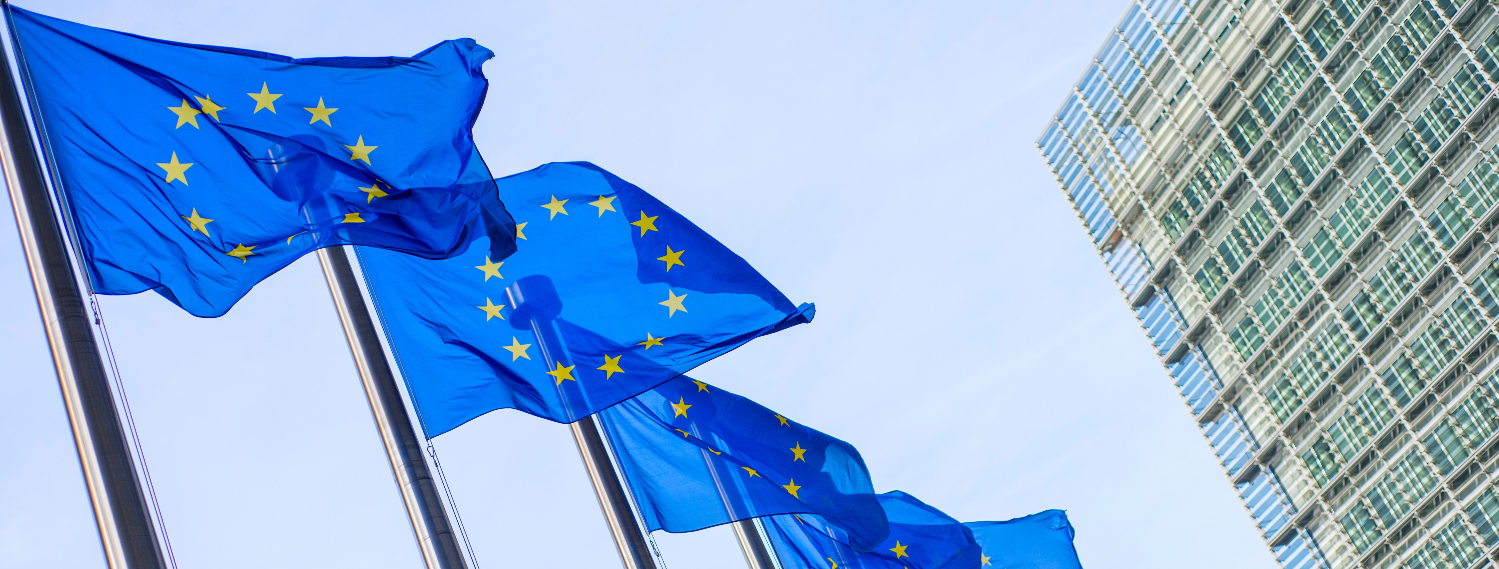 EU Council Adopts New Conclusions on Global Gateway Investment Strategy